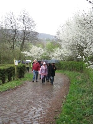 Lente wandeling 2011_22